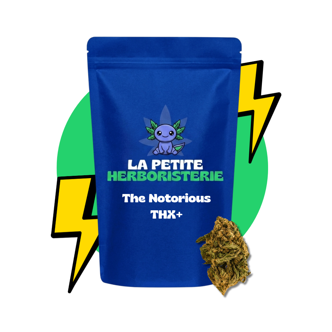 fleur the notorious THCX