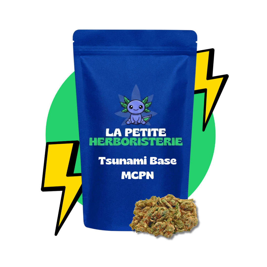 fleur tsunami base MCPN