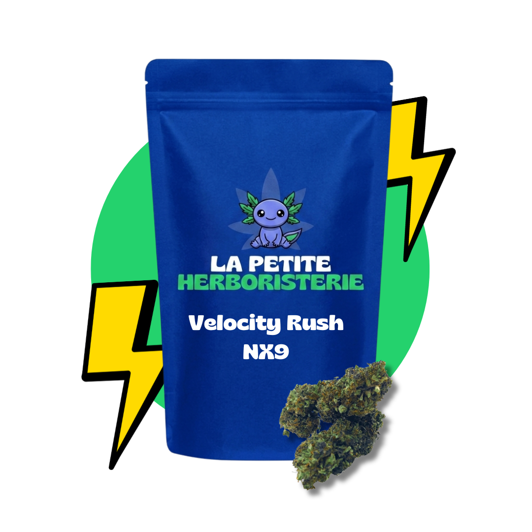 Fleur velocity rush nx9