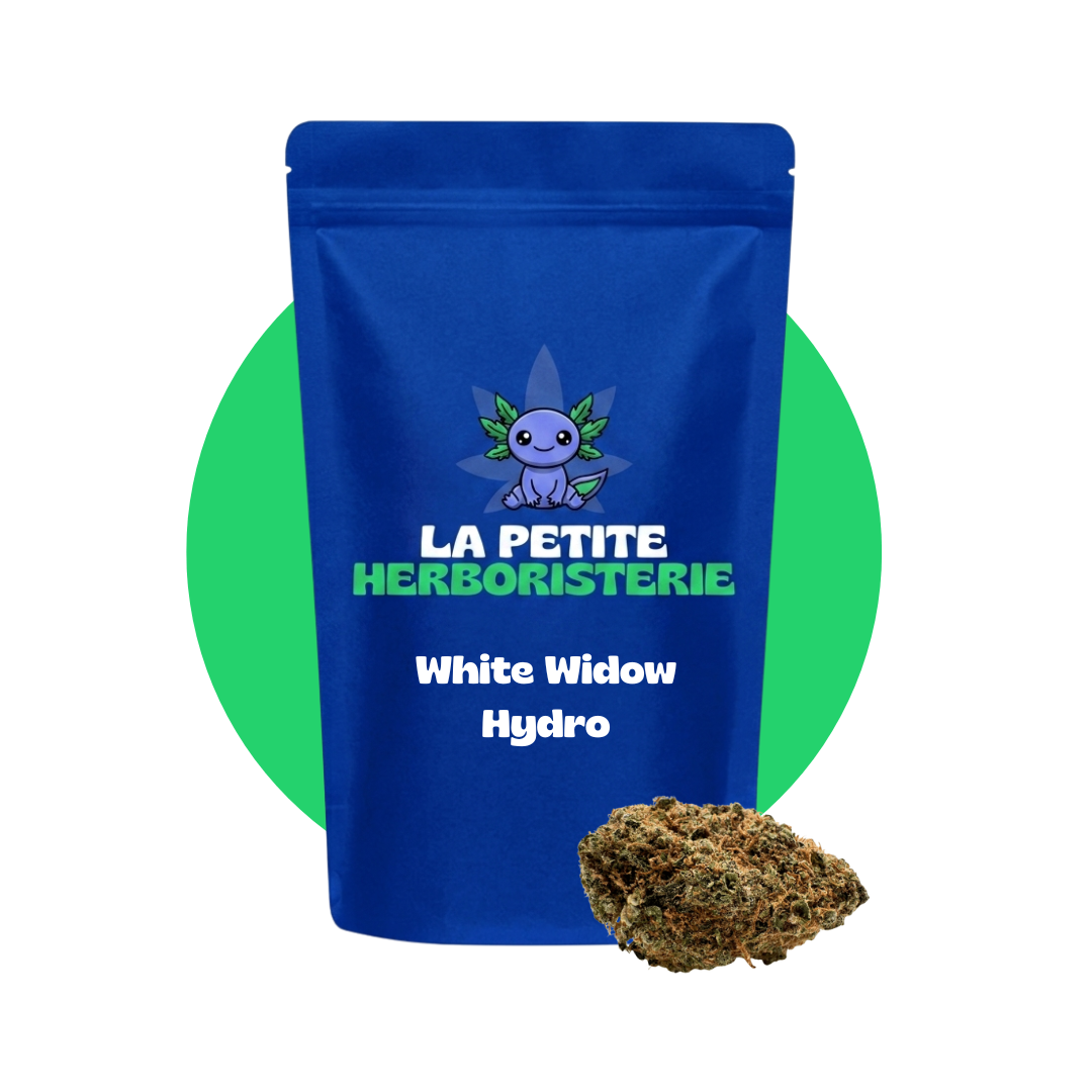 White Widow Hydro CBD 20%