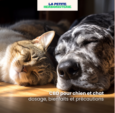 CBD pour chien et chat : dosage, bienfaits et précautions
